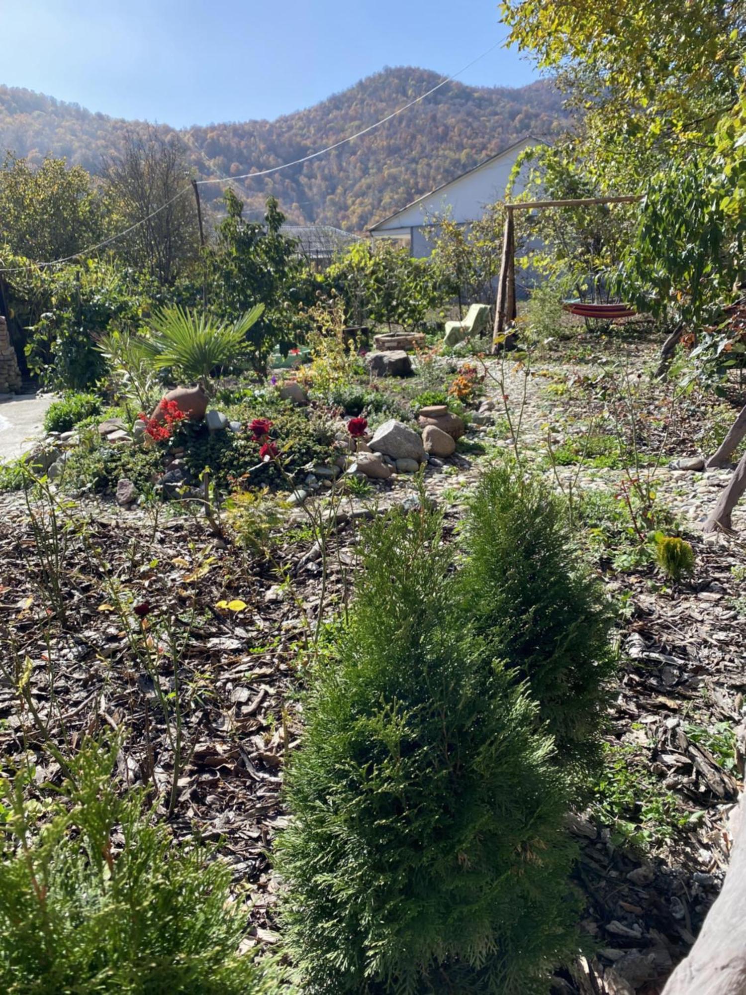 Green Park Guest House Dilijan Εξωτερικό φωτογραφία