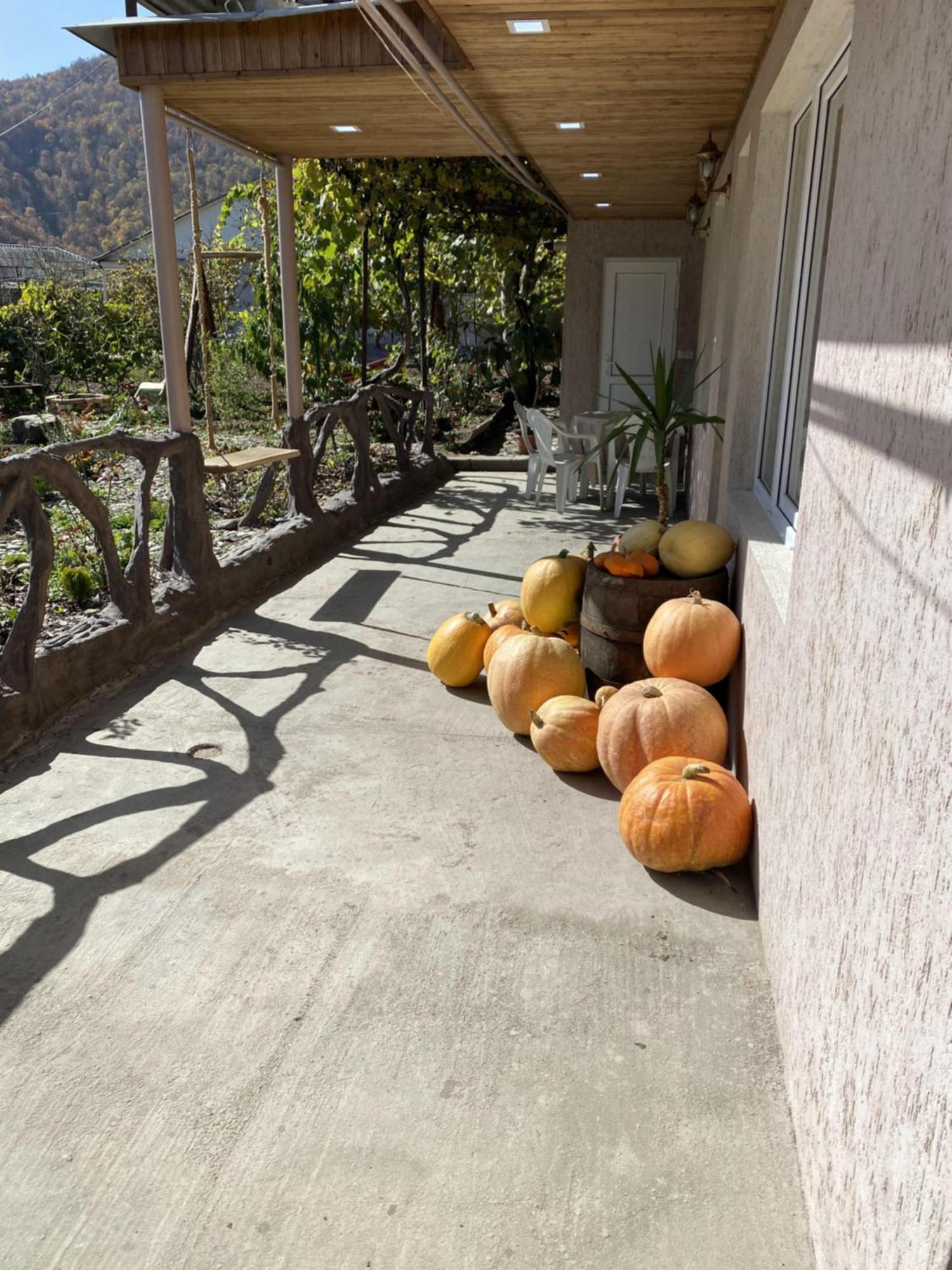 Green Park Guest House Dilijan Εξωτερικό φωτογραφία
