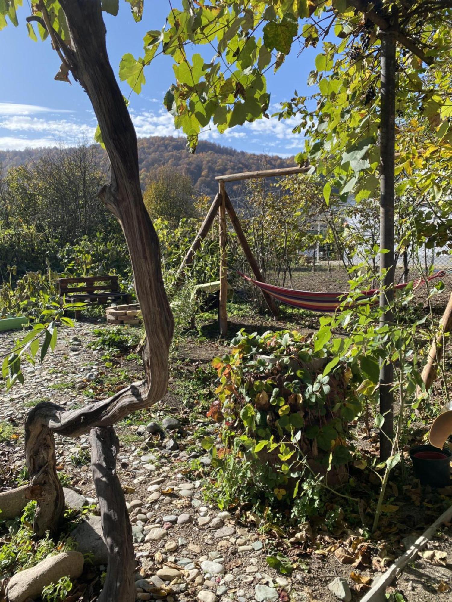 Green Park Guest House Dilijan Εξωτερικό φωτογραφία