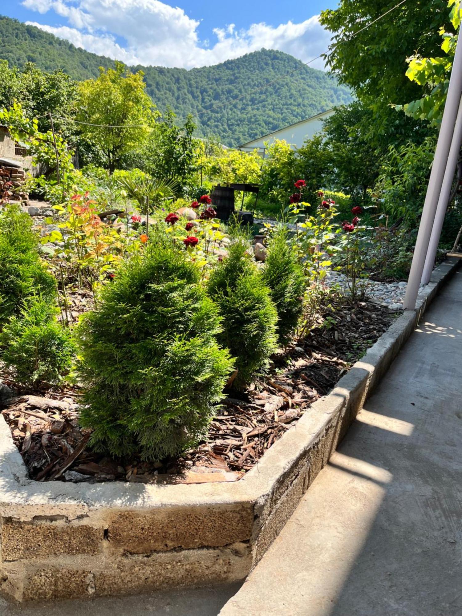Green Park Guest House Dilijan Εξωτερικό φωτογραφία